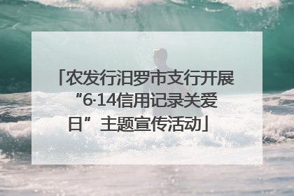 农发行汨罗市支行开展“6·14信用记录关爱日”主题宣传活动
