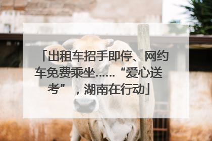 出租车招手即停、网约车免费乘坐……“爱心送考”，湖南在行动
