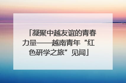 凝聚中越友谊的青春力量——越南青年“红色研学之旅”见闻