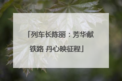 列车长陈丽：芳华献铁路 丹心映征程