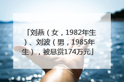 刘燕（女，1982年生）、刘波（男，1985年生），被悬赏174万元