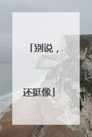 别说，还挺像