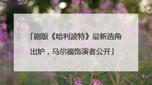 剧版《哈利波特》最新选角出炉，马尔福饰演者公开