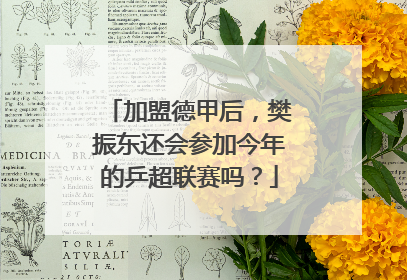 加盟德甲后，樊振东还会参加今年的乒超联赛吗？