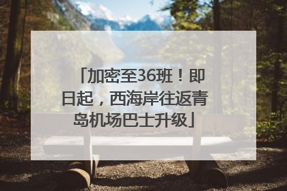 加密至36班！即日起，西海岸往返青岛机场巴士升级