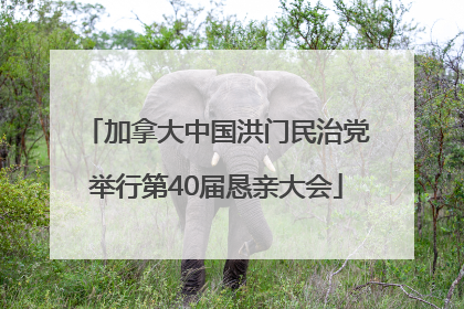 加拿大中国洪门民治党举行第40届恳亲大会