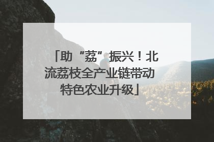 助“荔”振兴！北流荔枝全产业链带动特色农业升级