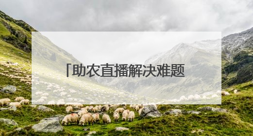 助农直播解决难题 江西宁都“开门教育”提升民众幸福感