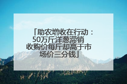 助农增收在行动：50万斤洋葱滞销 收购价每斤却高于市场价三分钱
