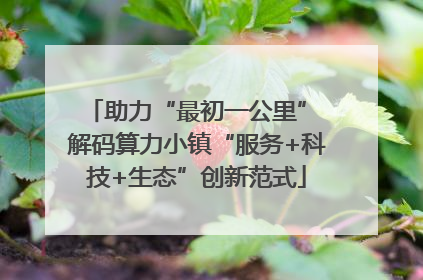 助力“最初一公里” 解码算力小镇“服务+科技+生态”创新范式