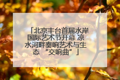 北京丰台首届水岸国际艺术节开幕 凉水河畔奏响艺术与生态 “交响曲”