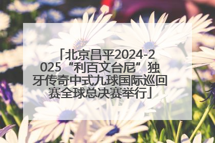 北京昌平2024-2025“利百文台尼”独牙传奇中式九球国际巡回赛全球总决赛举行
