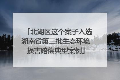 北湖区这个案子入选湖南省第三批生态环境损害赔偿典型案例