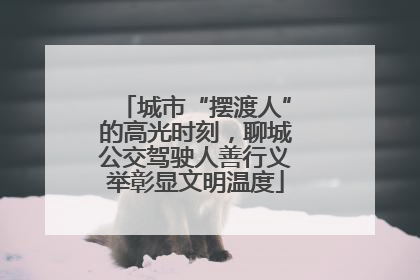 城市“摆渡人”的高光时刻，聊城公交驾驶人善行义举彰显文明温度