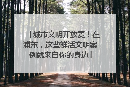 城市文明开放麦！在浦东，这些鲜活文明案例就来自你的身边