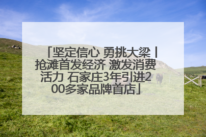 坚定信心 勇挑大梁丨抢滩首发经济 激发消费活力 石家庄3年引进200多家品牌首店