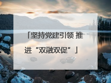 坚持党建引领 推进“双融双促”
