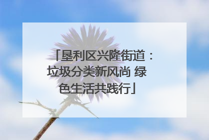 垦利区兴隆街道：垃圾分类新风尚 绿色生活共践行