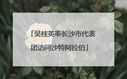 吴桂英率长沙市代表团访问沙特阿拉伯