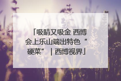 吸睛又吸金 西博会上乐山端出特色“硬菜”｜西博视界