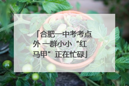 合肥一中考考点外 一群小小“红马甲”正在忙碌