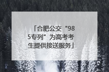 合肥公交“985专列”为高考考生提供接送服务