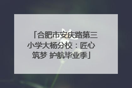 合肥市安庆路第三小学大杨分校：匠心筑梦 护航毕业季