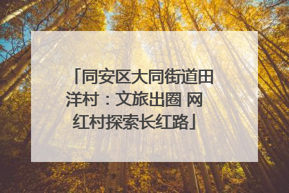 同安区大同街道田洋村：文旅出圈 网红村探索长红路