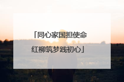 同心家国担使命 红柳筑梦践初心