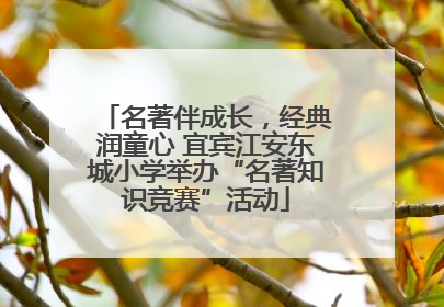 名著伴成长，经典润童心 宜宾江安东城小学举办“名著知识竞赛”活动