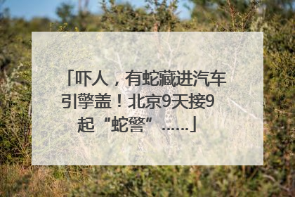 吓人，有蛇藏进汽车引擎盖！北京9天接9起“蛇警”……