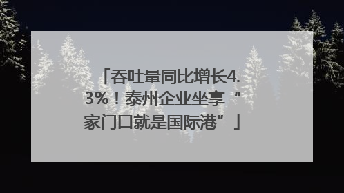 吞吐量同比增长4.3%！泰州企业坐享“家门口就是国际港”