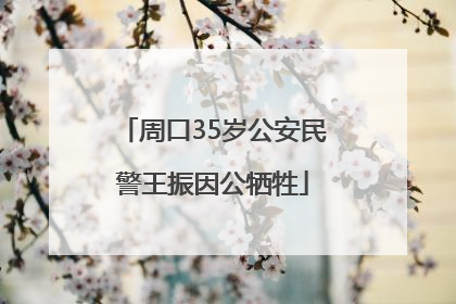 周口35岁公安民警王振因公牺牲