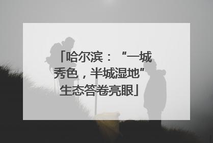 哈尔滨：“一城秀色，半城湿地”生态答卷亮眼