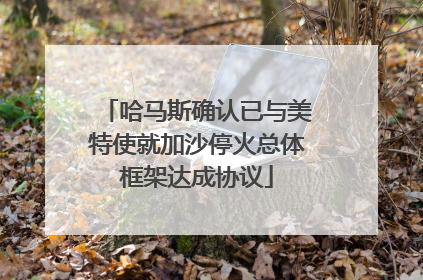 哈马斯确认已与美特使就加沙停火总体框架达成协议