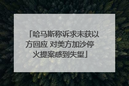 哈马斯称诉求未获以方回应 对美方加沙停火提案感到失望