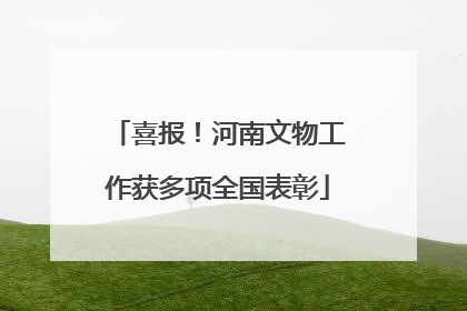 喜报！河南文物工作获多项全国表彰