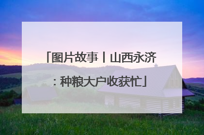 图片故事丨山西永济：种粮大户收获忙