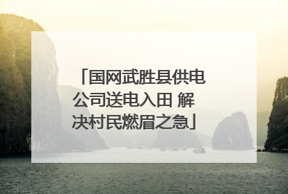 国网武胜县供电公司送电入田 解决村民燃眉之急