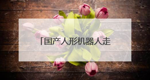 国产人形机器人走上全球最长猫道