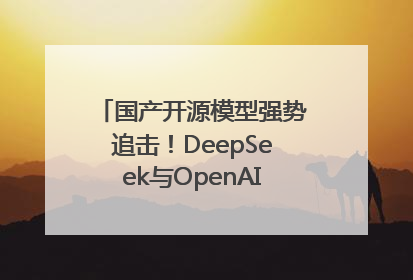 国产开源模型强势追击！DeepSeek与OpenAI最新模型实测对决