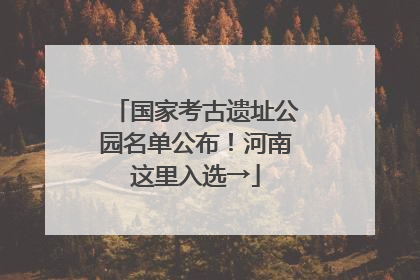 国家考古遗址公园名单公布！河南这里入选→