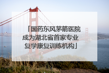 国药东风茅箭医院成为湖北省首家专业复学康复训练机构
