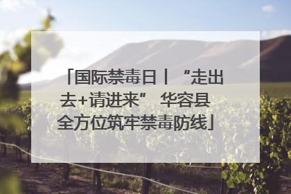 国际禁毒日丨“走出去+请进来” 华容县全方位筑牢禁毒防线