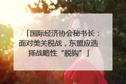国际经济协会秘书长：面对美关税战，东盟应选择战略性“脱钩”