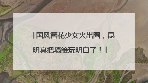国风簪花少女火出圈，昆明真把墙绘玩明白了！