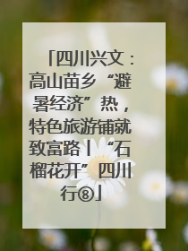 四川兴文：高山苗乡“避暑经济”热，特色旅游铺就致富路丨“石榴花开”四川行⑧