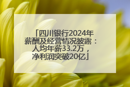 四川银行2024年薪酬及经营情况披露：人均年薪33.2万，净利润突破20亿