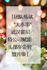 团队练就“大本事” 武汉霍尼特公司赋能头部车企智慧升级