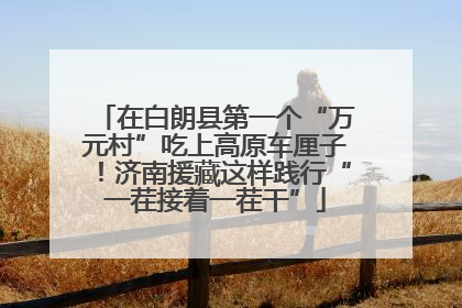 在白朗县第一个“万元村”吃上高原车厘子！济南援藏这样践行“一茬接着一茬干”